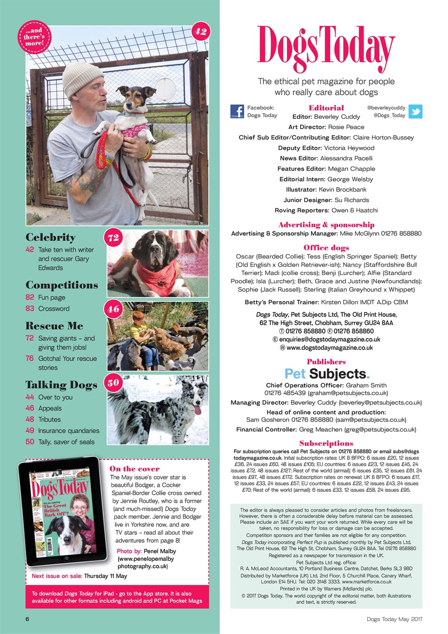 Dogs Today Magazine Preview Pages