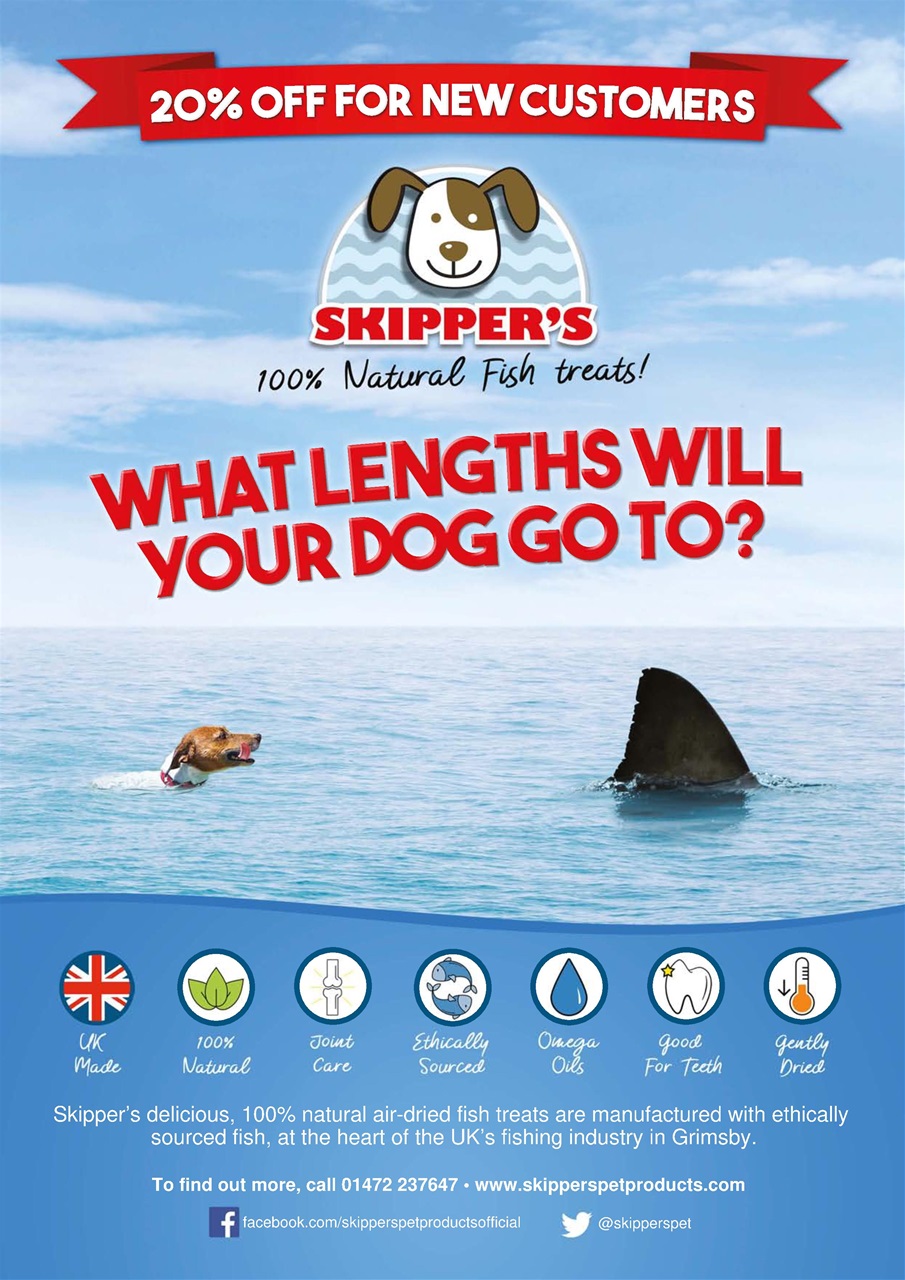 Dogs Today Magazine Preview Pages