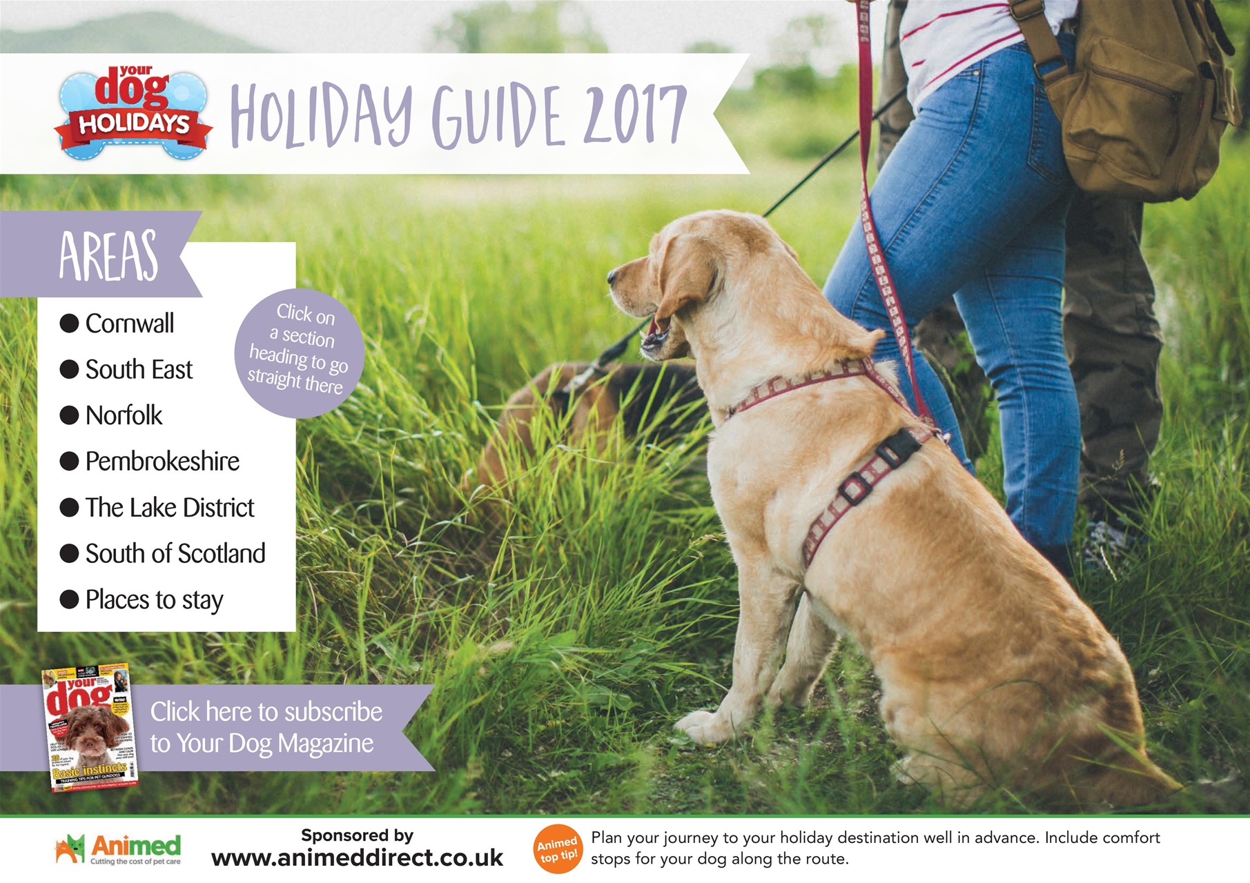 Your Dog Preview Pages