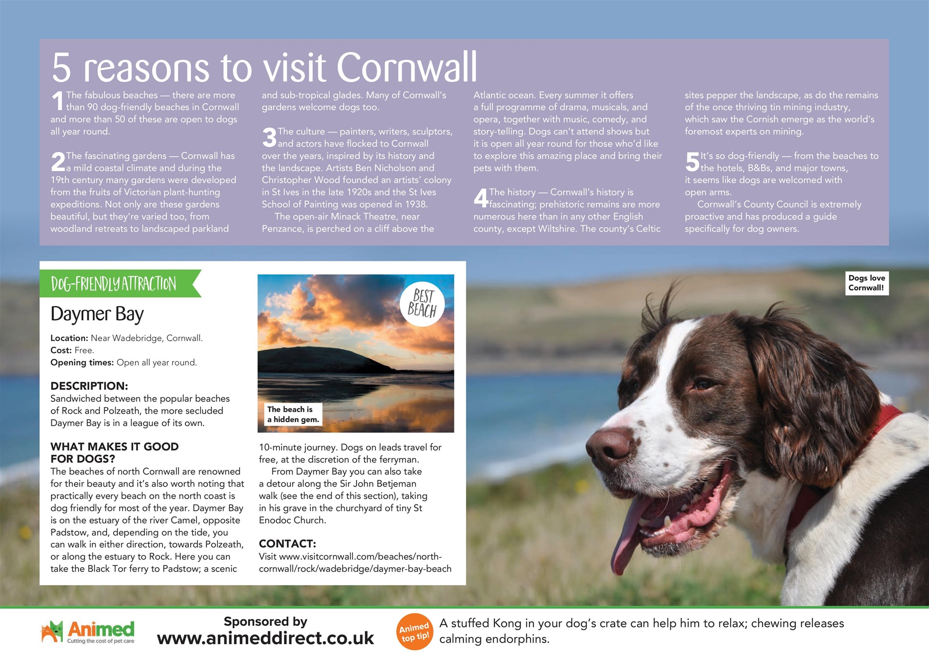 Your Dog Preview Pages