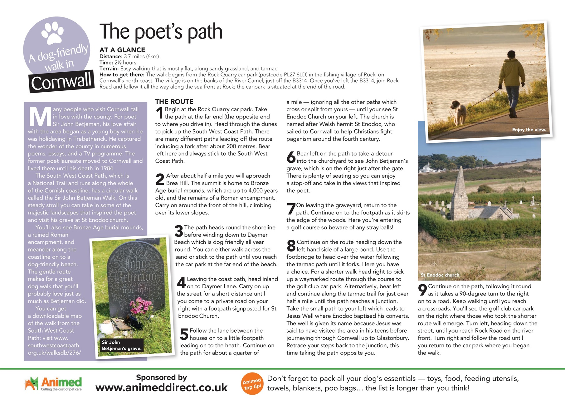 Your Dog Preview Pages