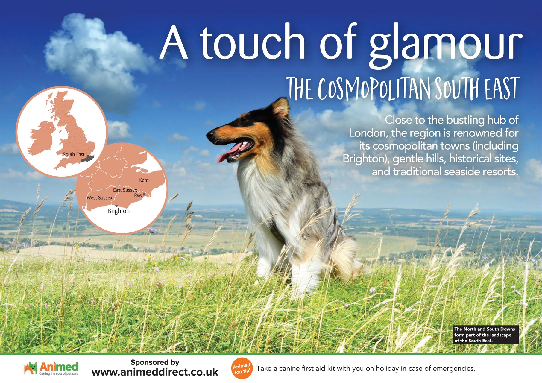 Your Dog Preview Pages