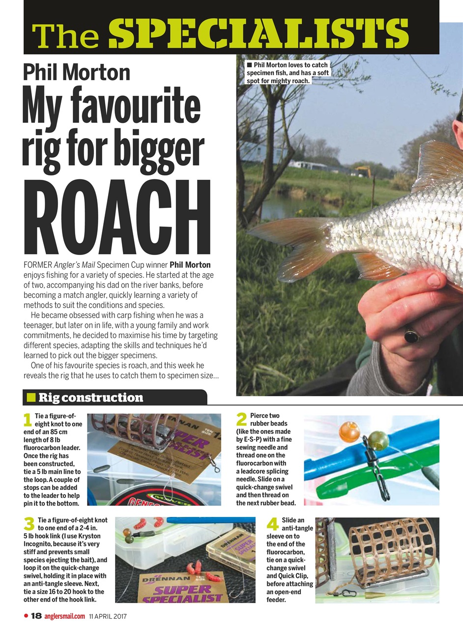 Anglers Mail Preview Pages