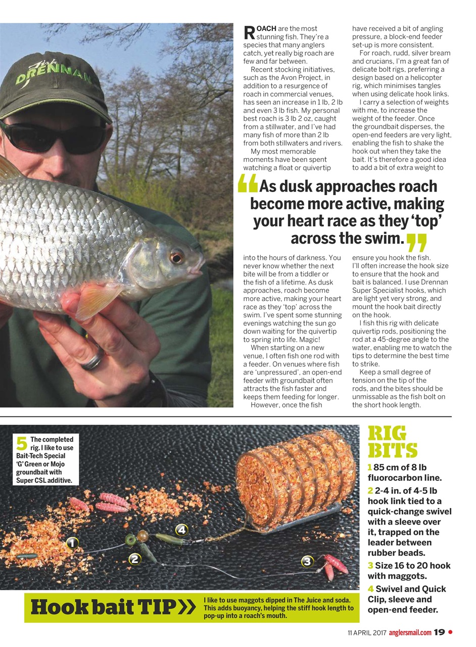 Anglers Mail Preview Pages