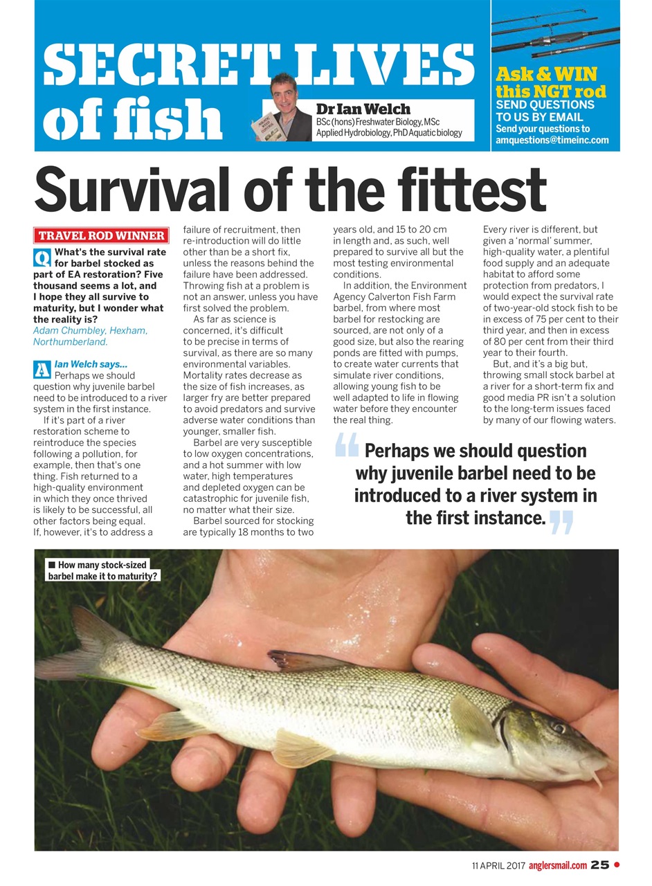 Anglers Mail Preview Pages