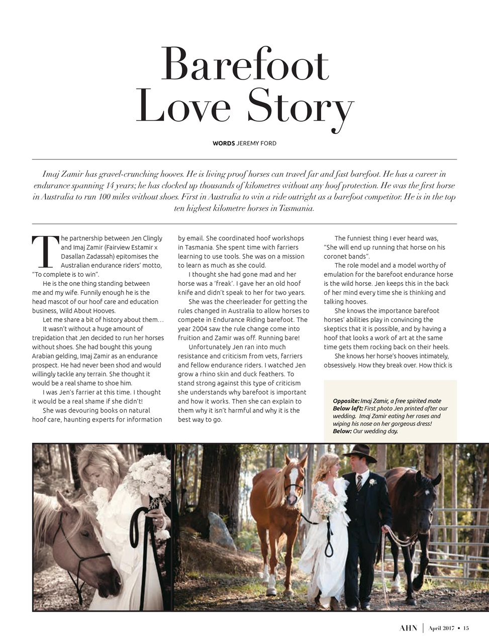 Australian Arabian Horse News Preview Pages