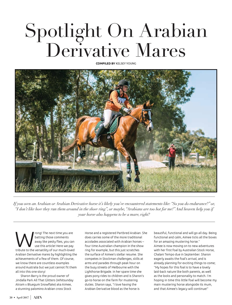 Australian Arabian Horse News Preview Pages