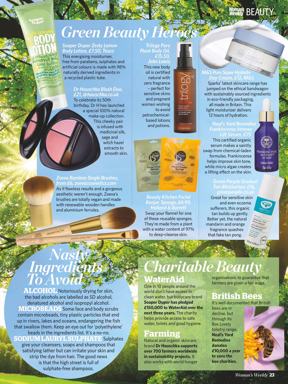 Woman's Weekly Preview Pages