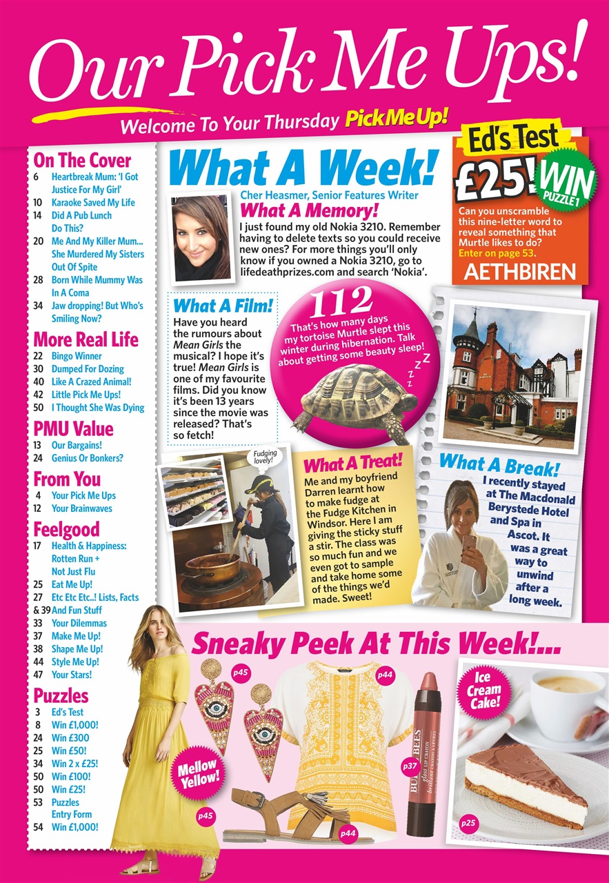 Pick Me Up Preview Pages