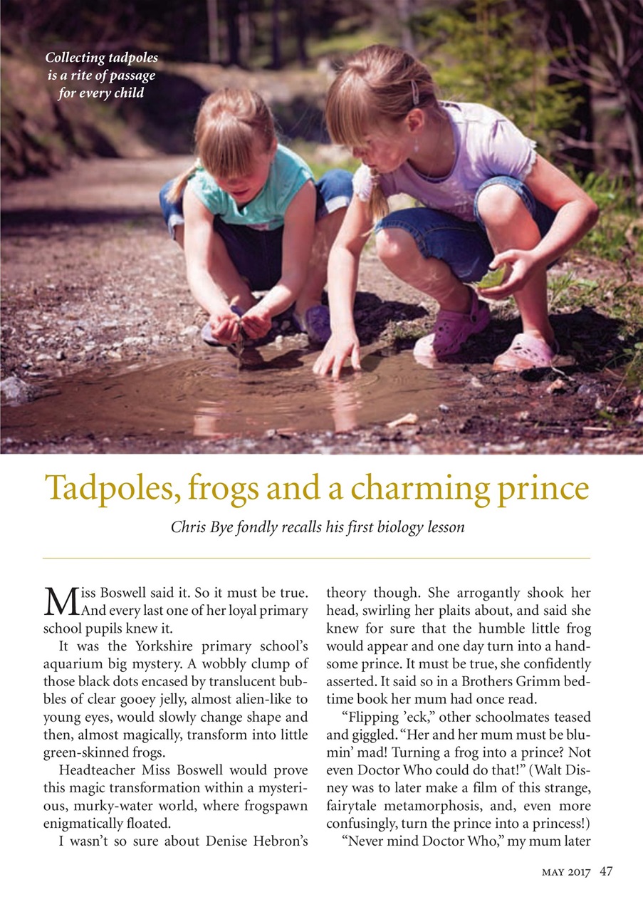 The Yorkshire Dalesman Preview Pages