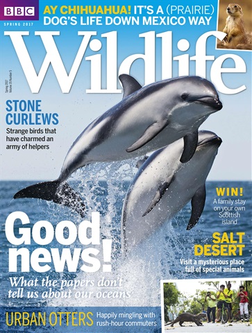 BBC Wildlife Magazine issue Spring 2017