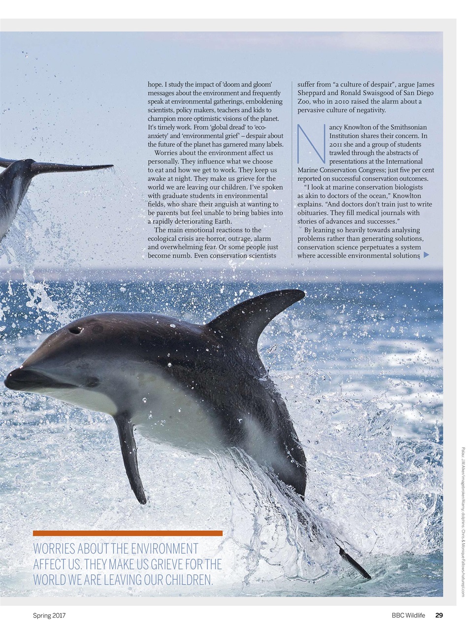 BBC Wildlife Magazine Preview Pages