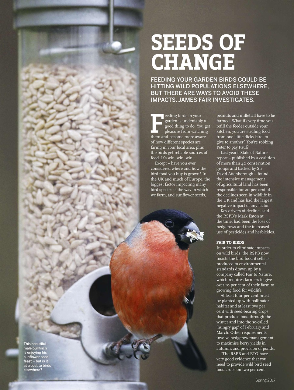 BBC Wildlife Magazine Preview Pages