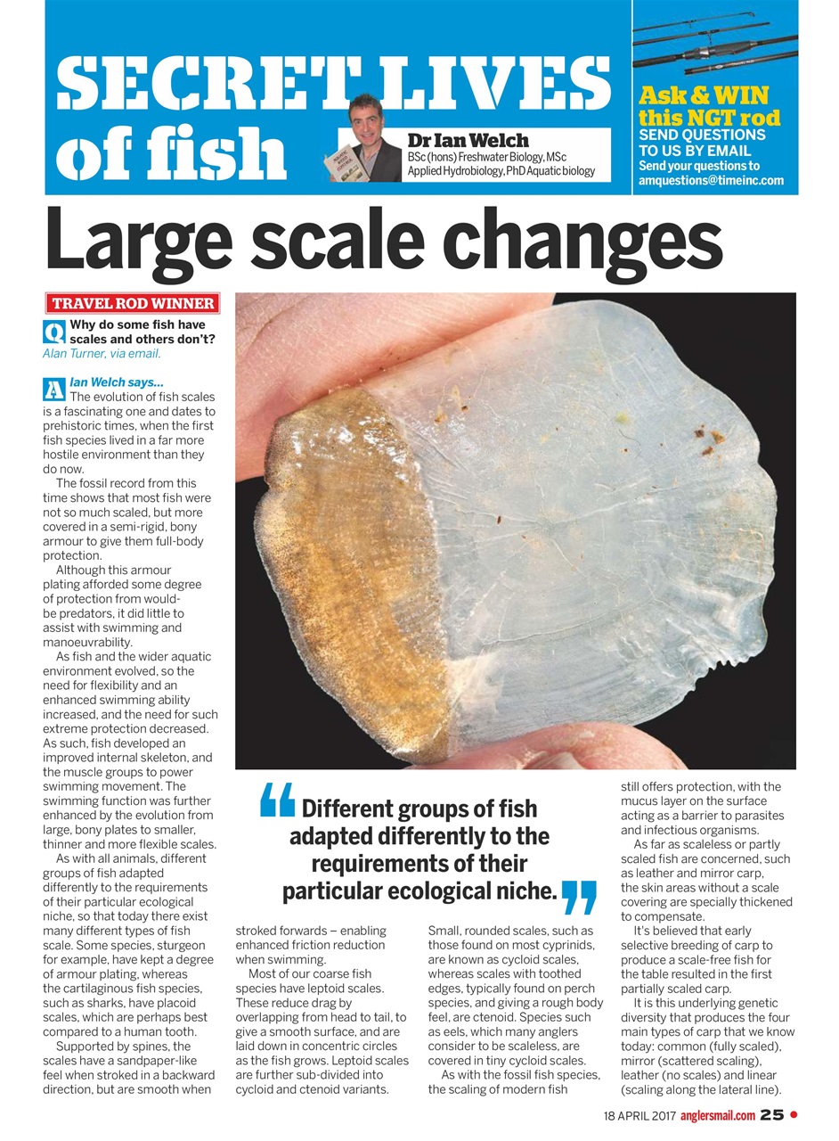 Anglers Mail Preview Pages