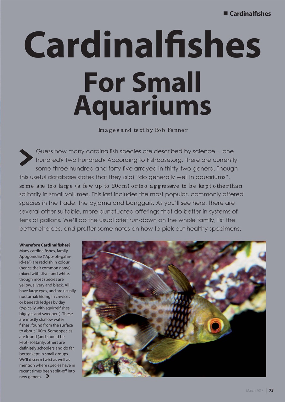 UltraMarine Magazine Preview Pages