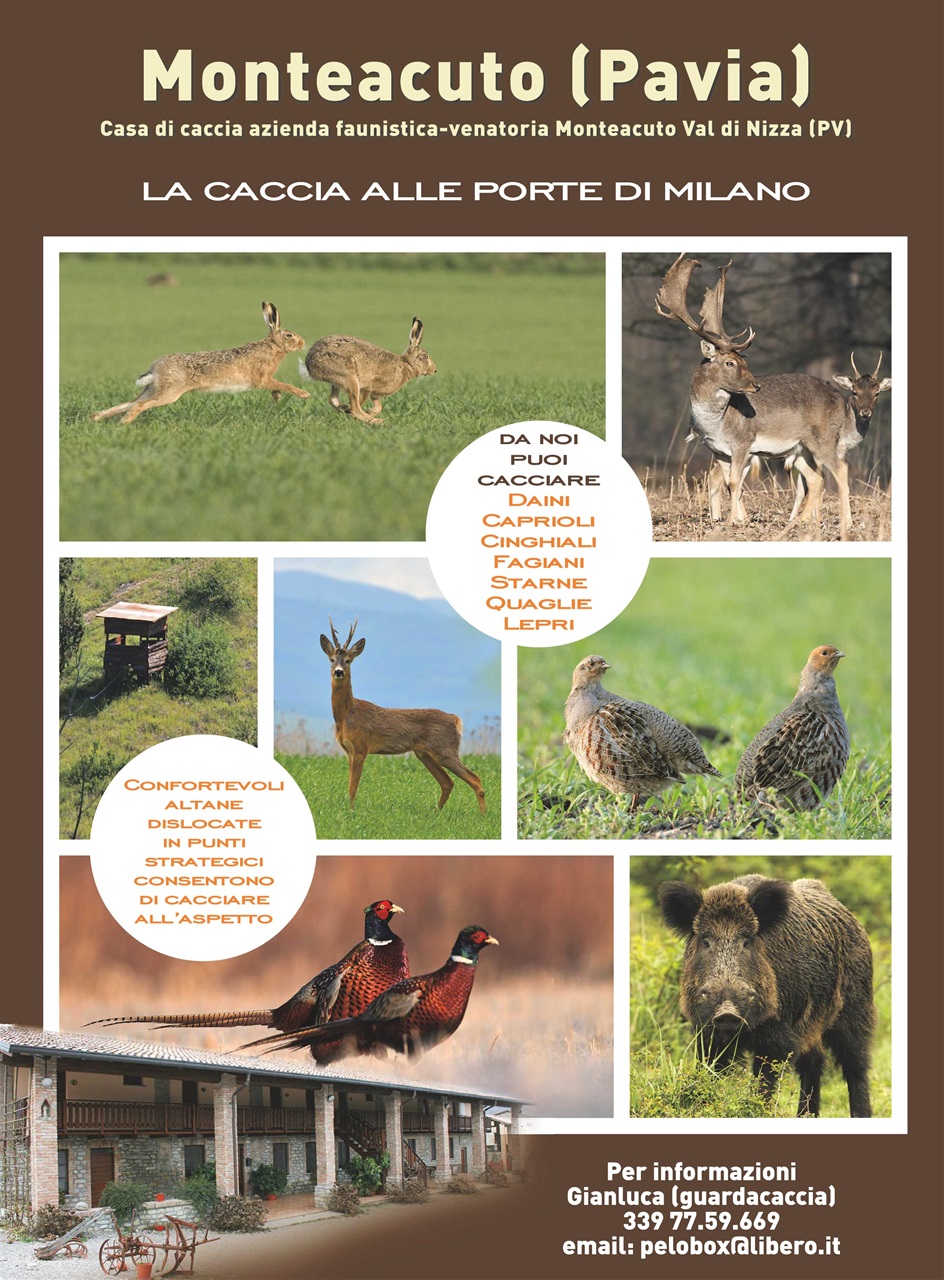Caccia Magazine Preview Pages