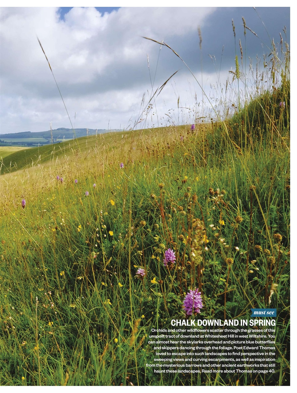 BBC Countryfile Magazine Preview Pages