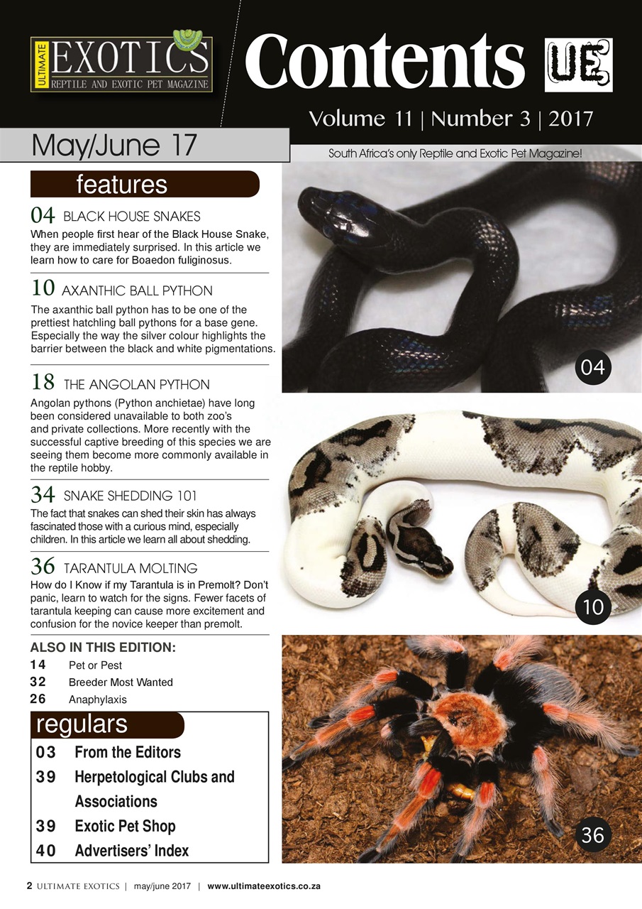 Ultimate Exotics Preview Pages