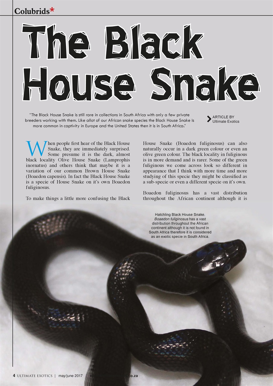 Ultimate Exotics Preview Pages