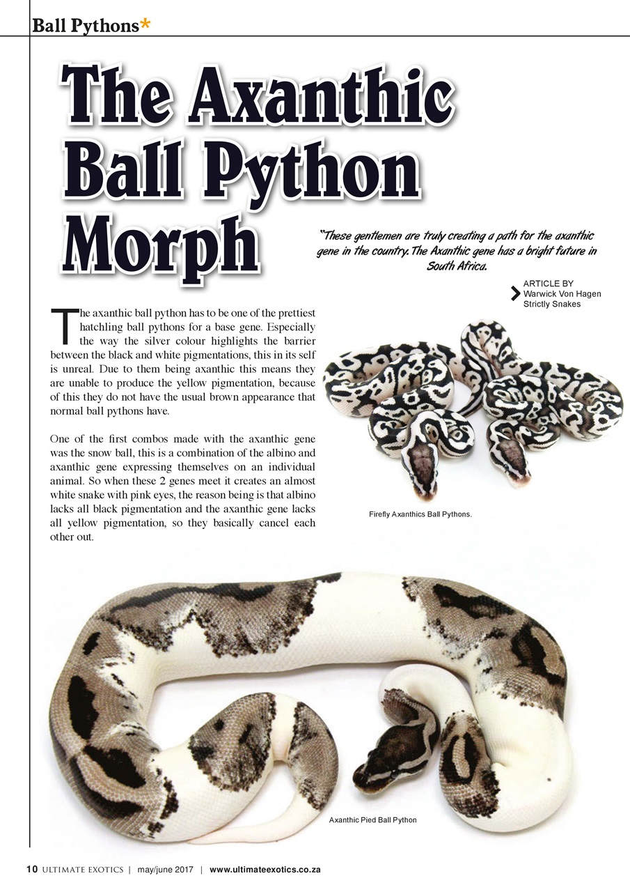 Ultimate Exotics Preview Pages