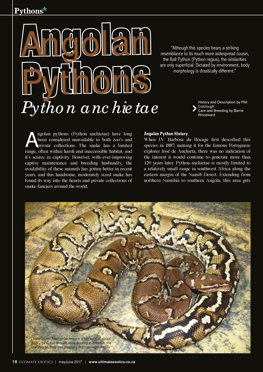 Ultimate Exotics Preview Pages