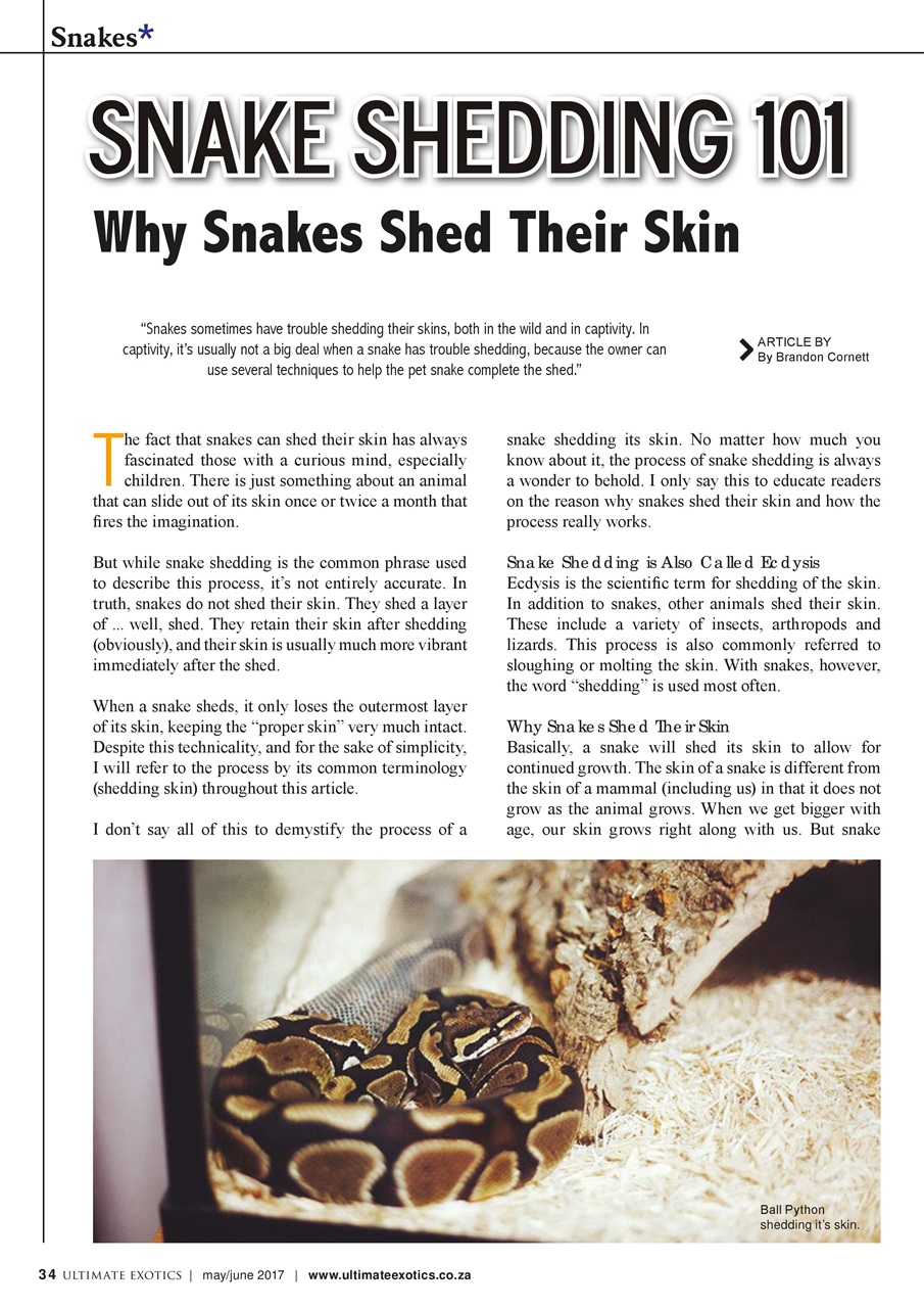 Ultimate Exotics Preview Pages