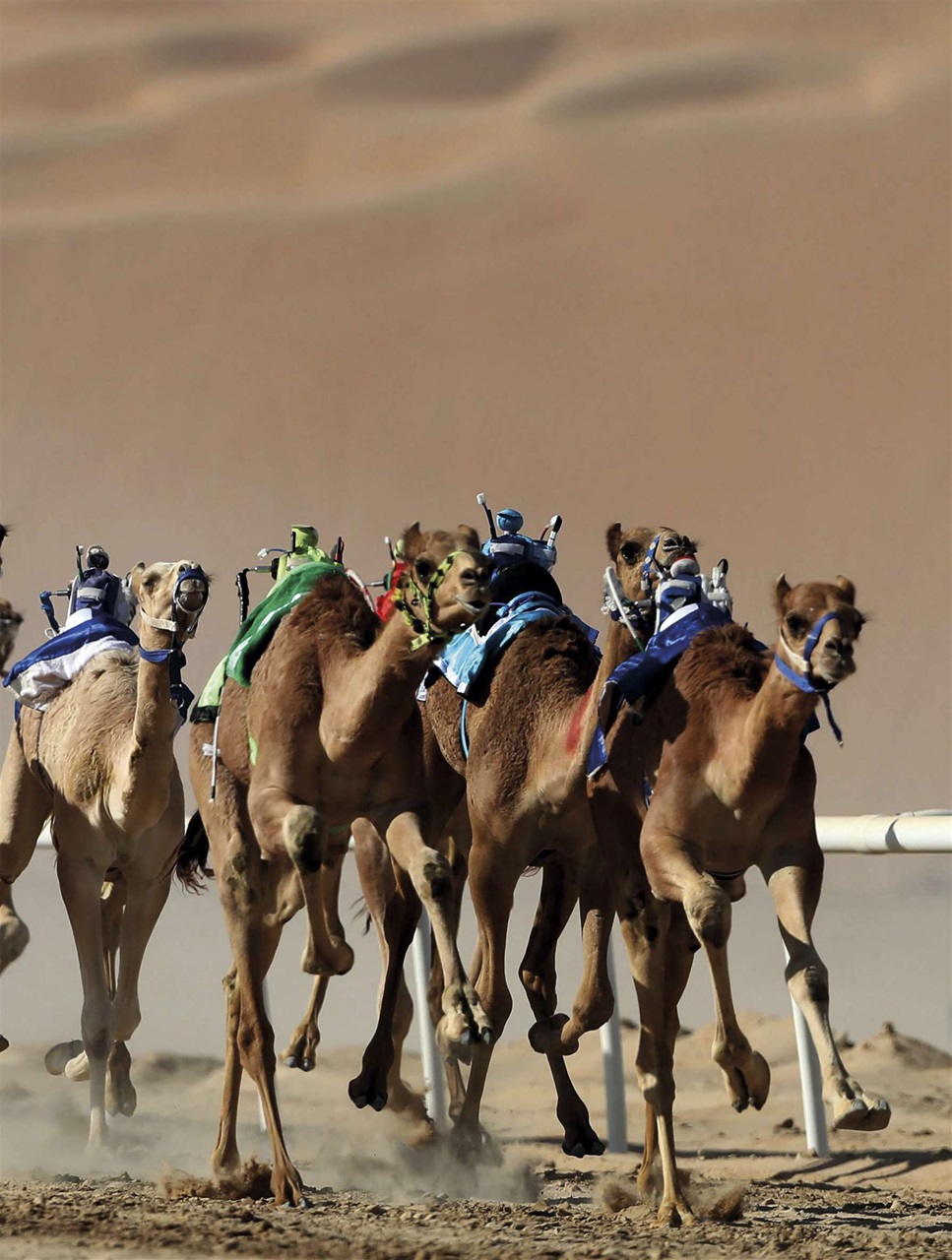 BBC Science Focus Magazine Preview Pages