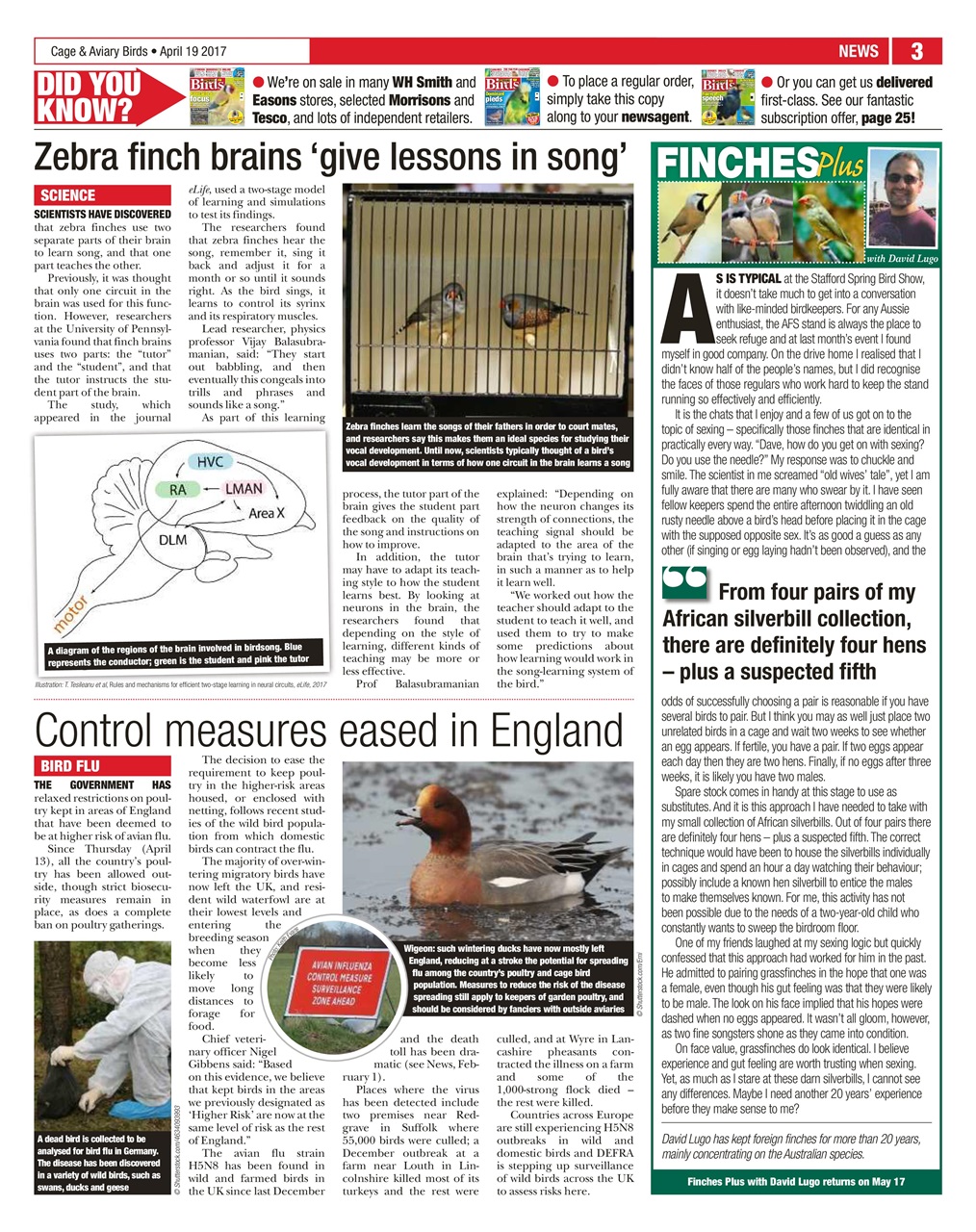 Cage & Aviary Birds Preview Pages