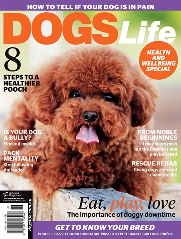 Apr Issue#143 2017 issue Apr Issue#143 2017