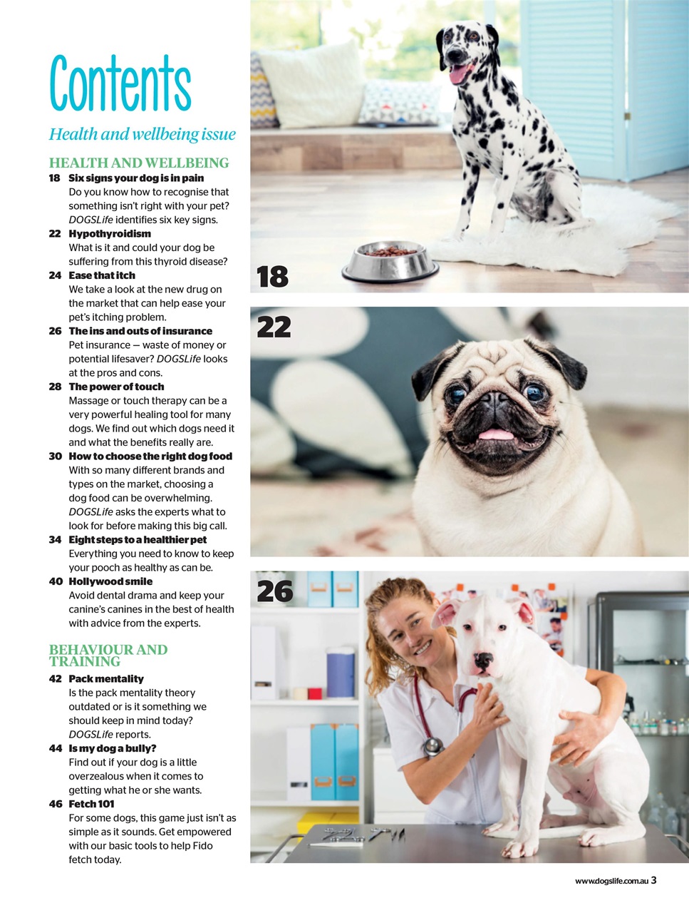 Dogs Life Preview Pages