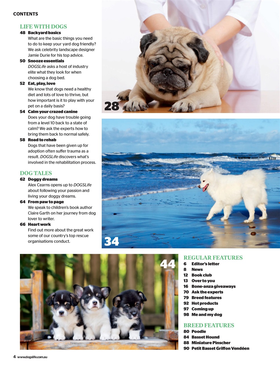 Dogs Life Preview Pages