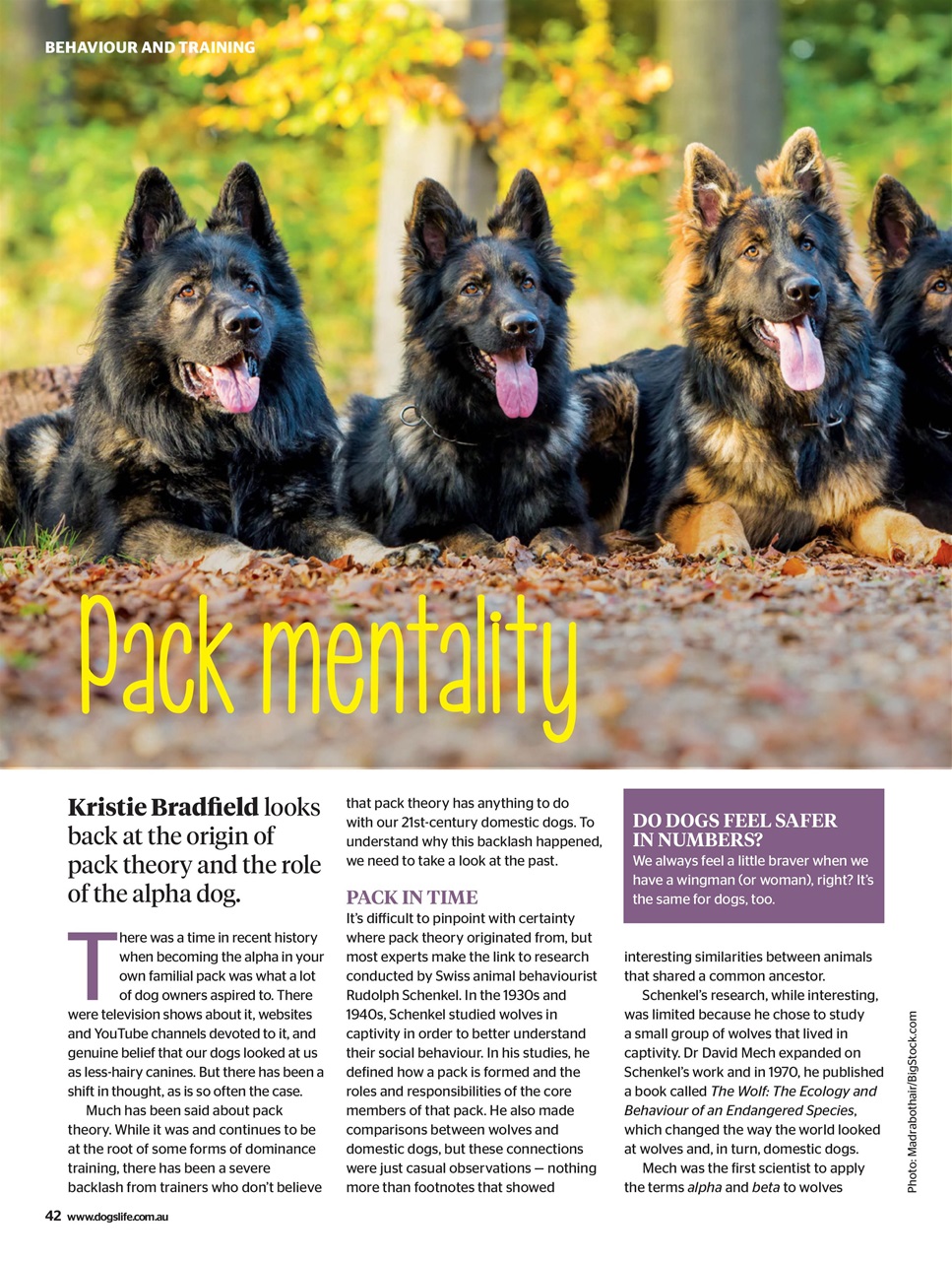 Dogs Life Preview Pages