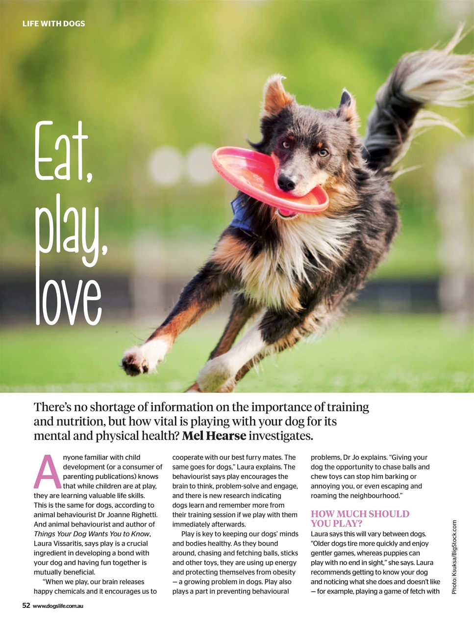 Dogs Life Preview Pages