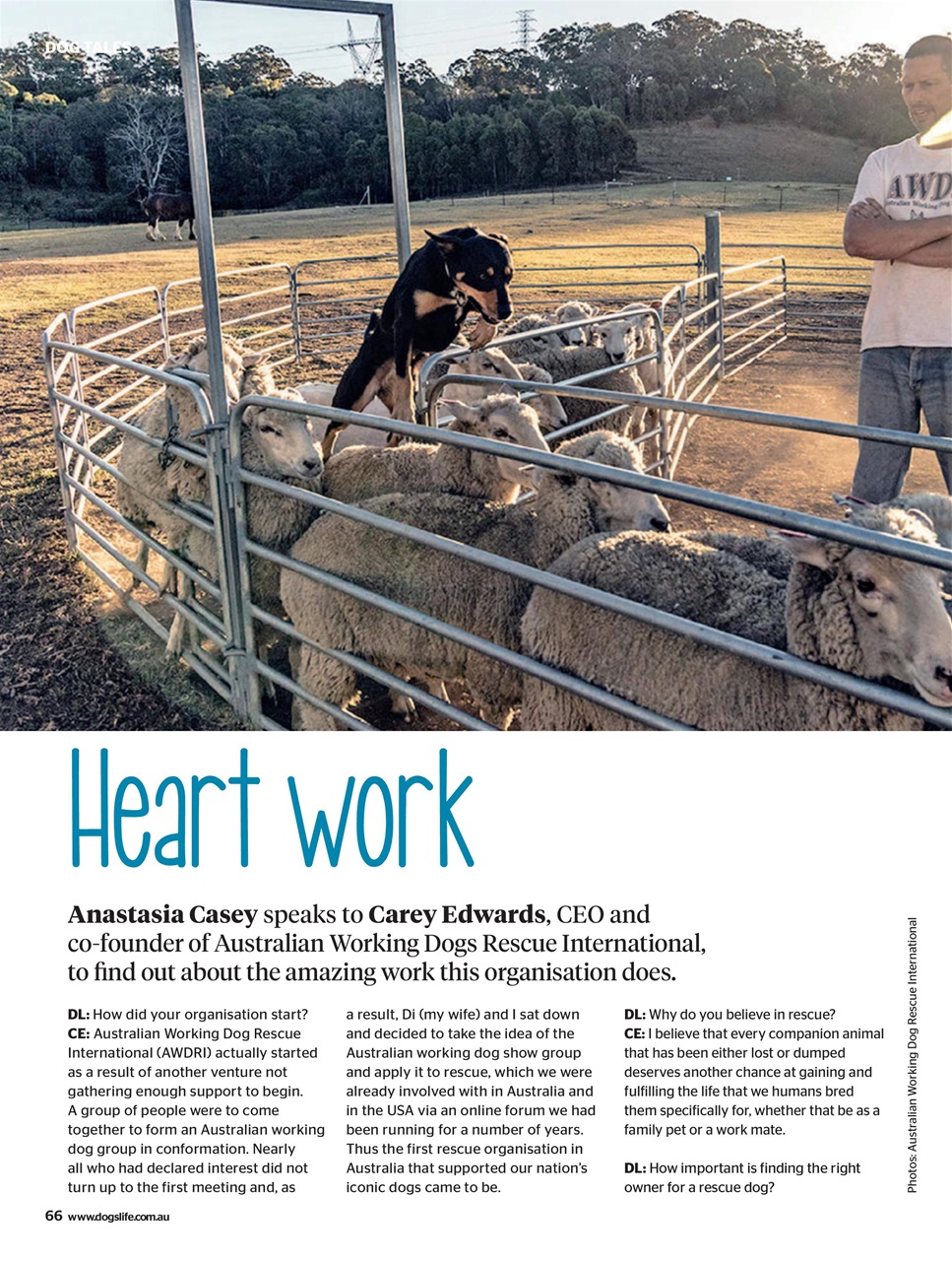 Dogs Life Preview Pages