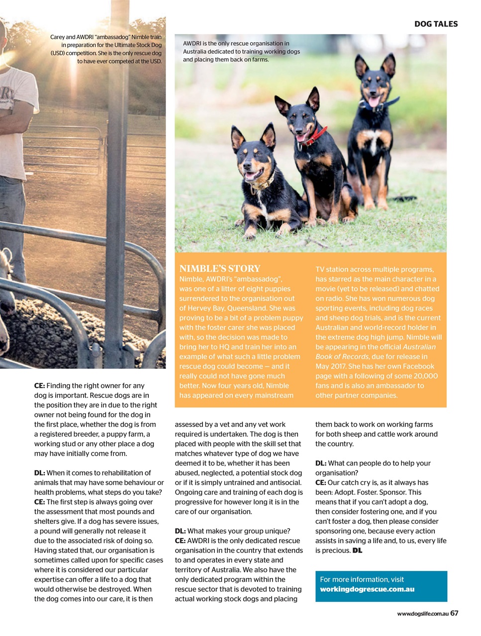 Dogs Life Preview Pages