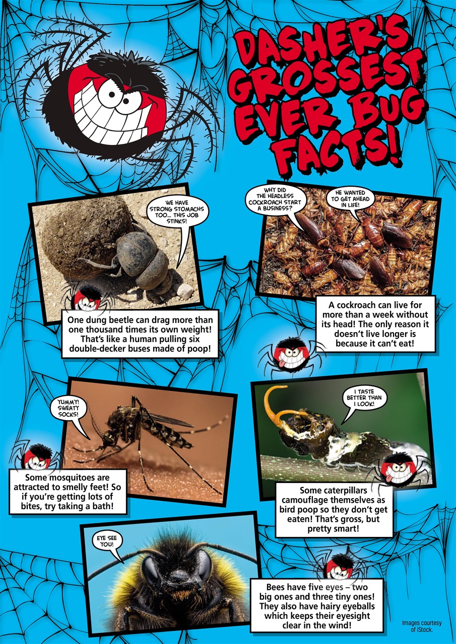 Beano Preview Pages