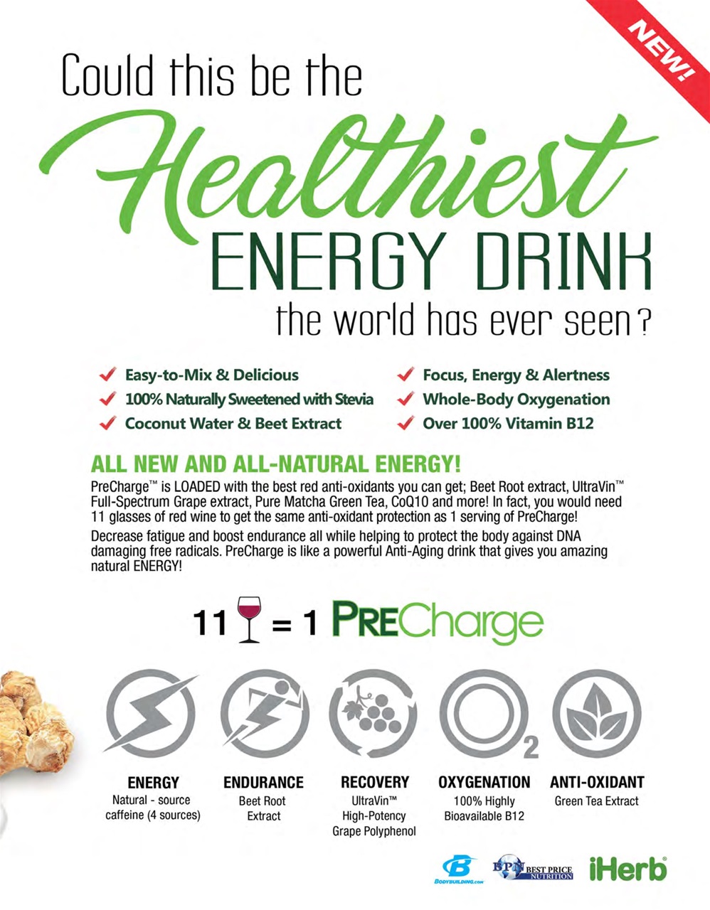 Strong Fitness Preview Pages