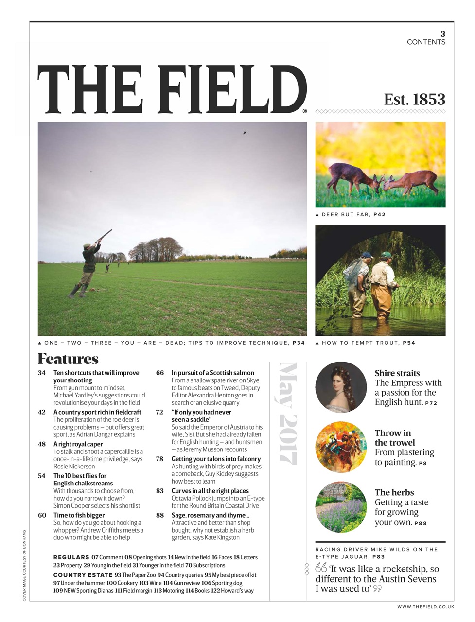 The Field Preview Pages