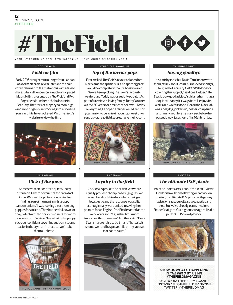 The Field Preview Pages