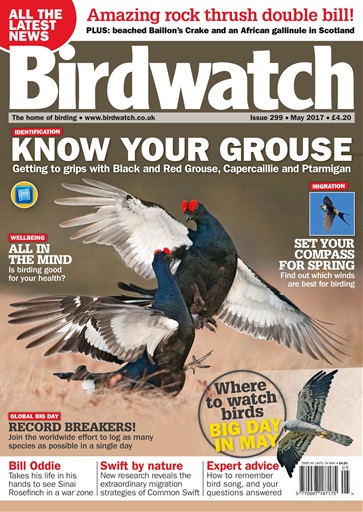 Birdwatch Magazine issue 