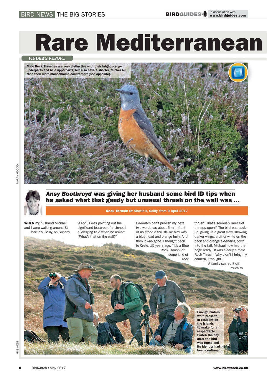 Birdwatch Magazine Preview Pages