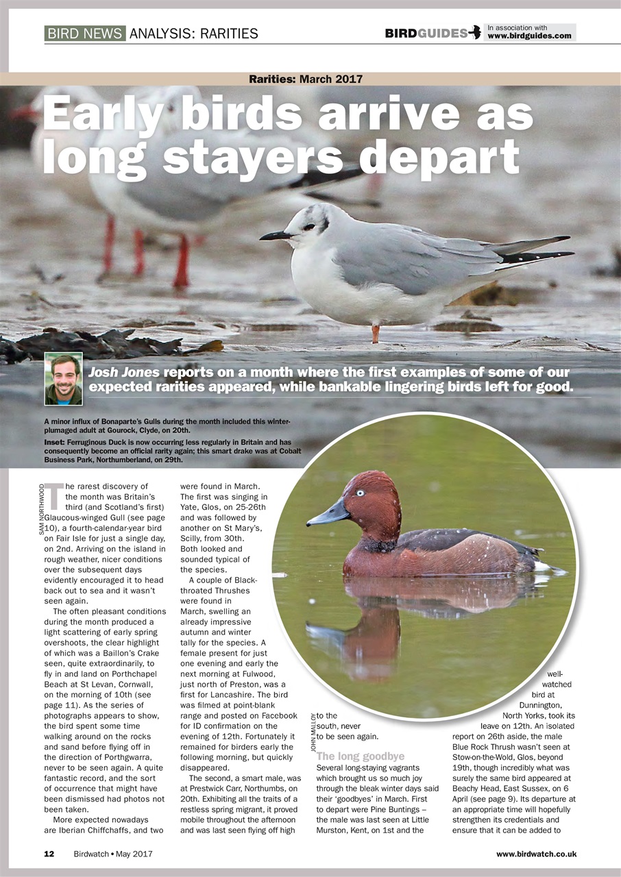 Birdwatch Magazine Preview Pages