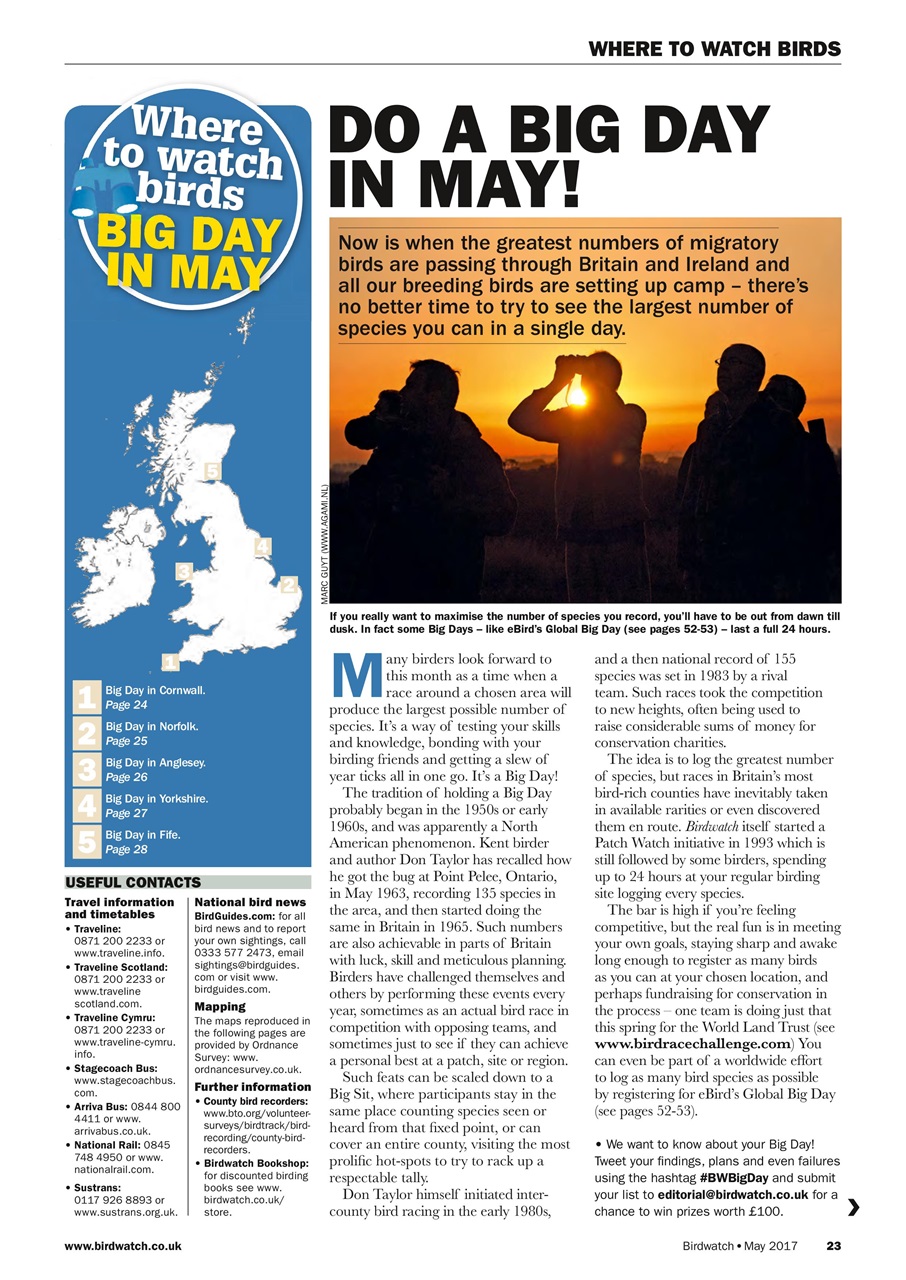 Birdwatch Magazine Preview Pages