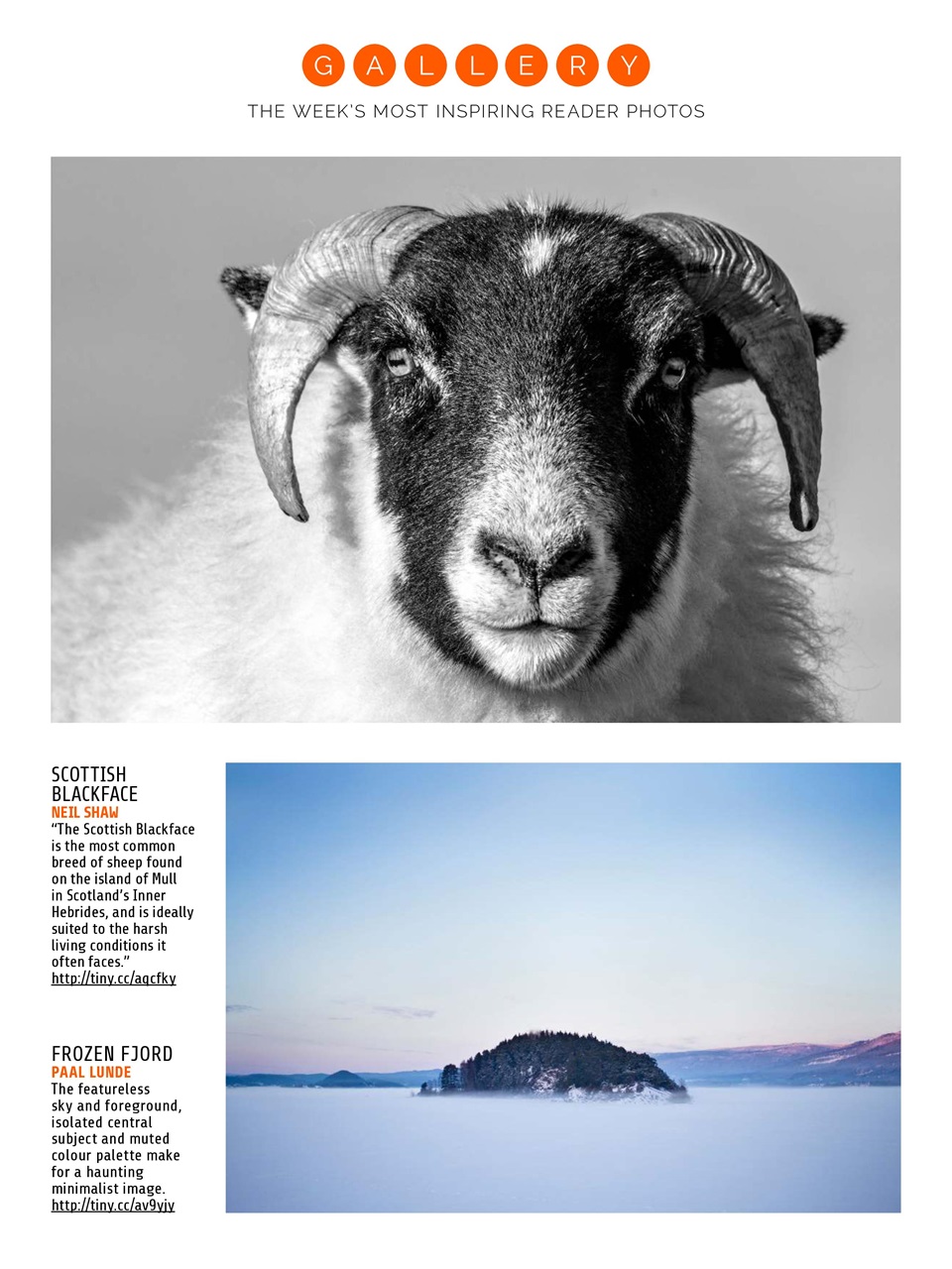 Photography Week Preview Pages