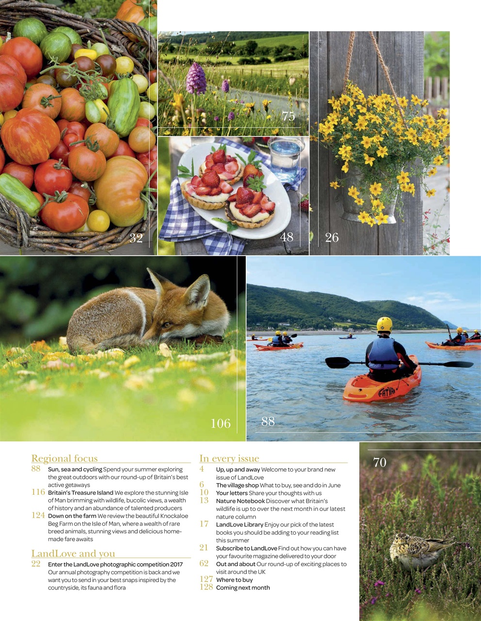 LandLove Magazine Preview Pages