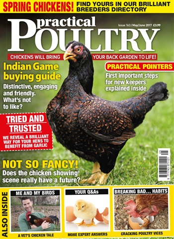 Practical Poultry issue No. 163 Spring Chickens