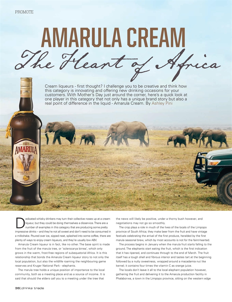 Drinks Trade Preview Pages