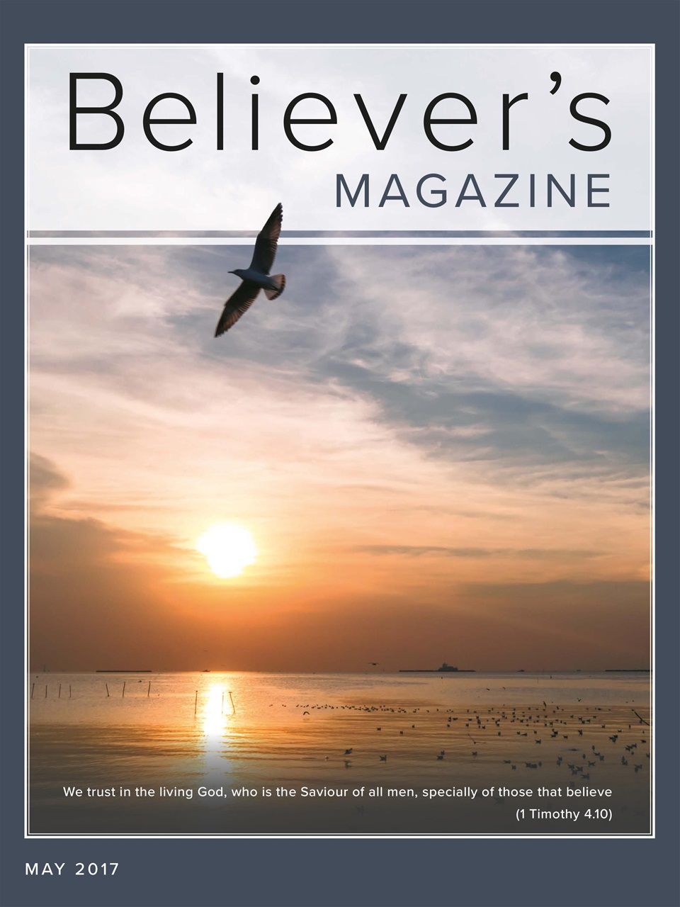 Believer Magazine Preview Pages