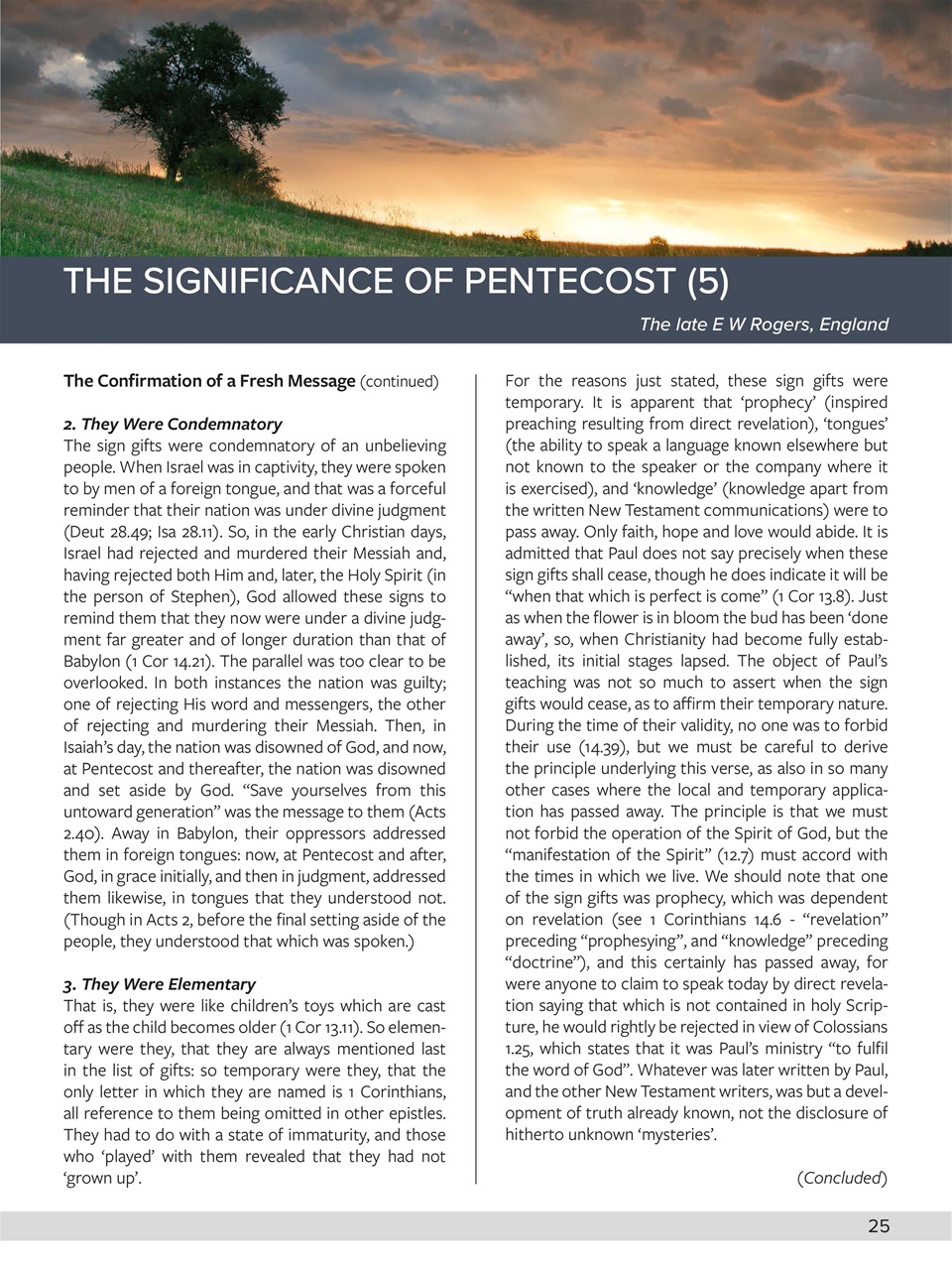 Believer Magazine Preview Pages