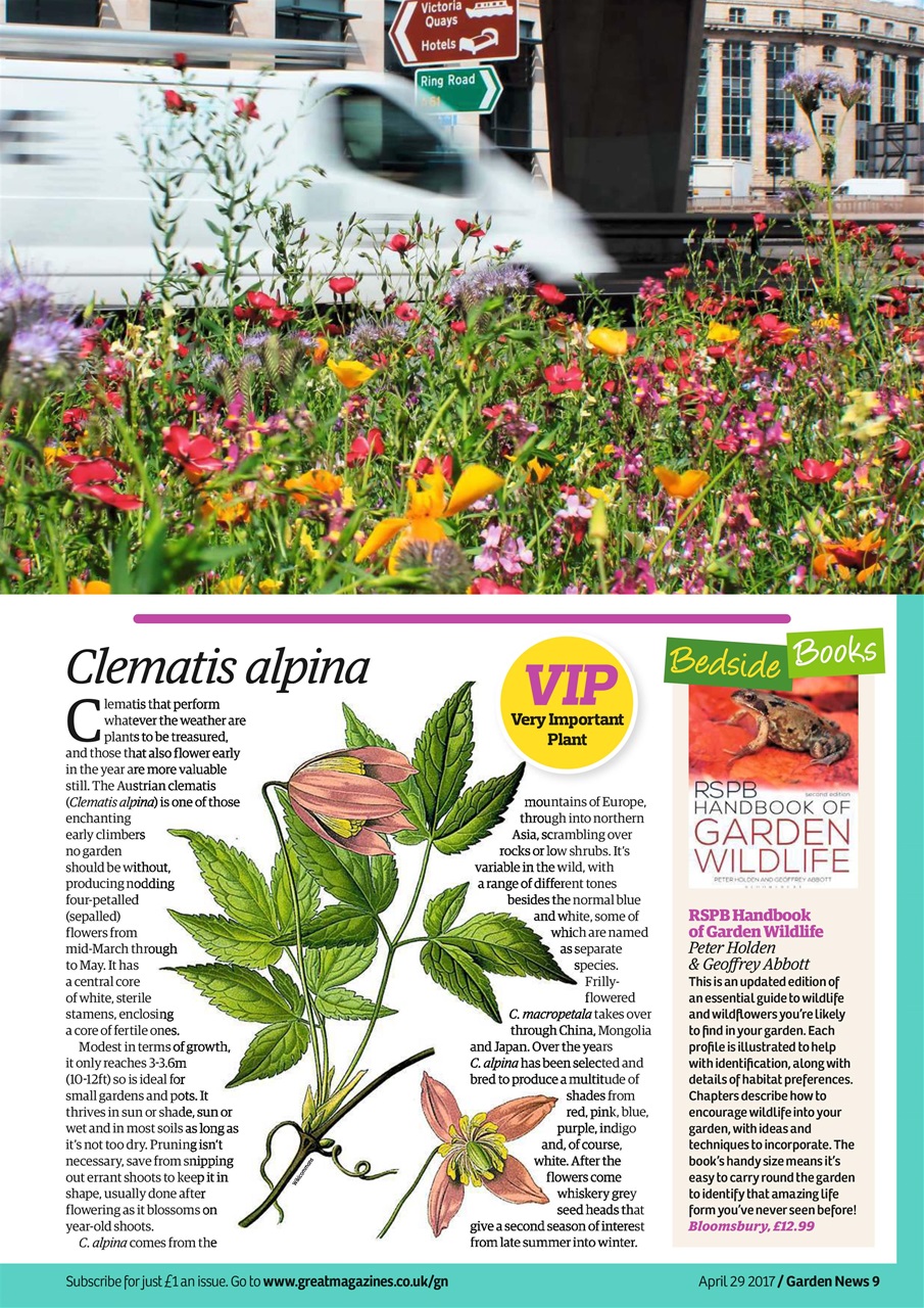 Garden News Preview Pages
